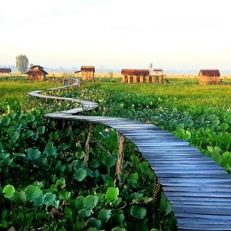 Viet Mekong Farmstay Tràm Chim Exterior photo