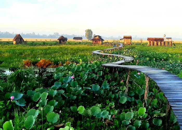 Viet Mekong Farmstay