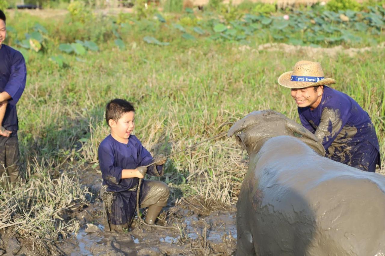 Campsite Viet Mekong Tram Chim