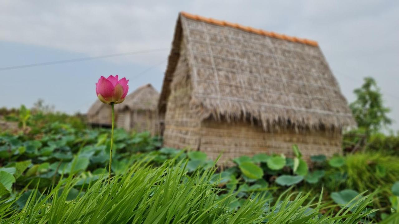 Viet Mekong *